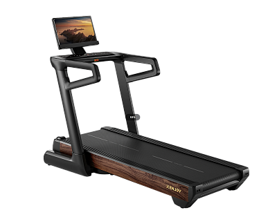  Домашняя беговая дорожка Xenjoy XT5