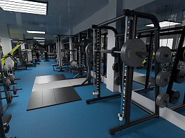 Коммерческий тренажерный зал