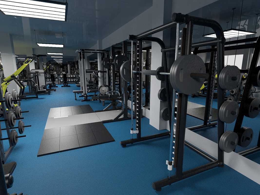 Коммерческий тренажерный зал