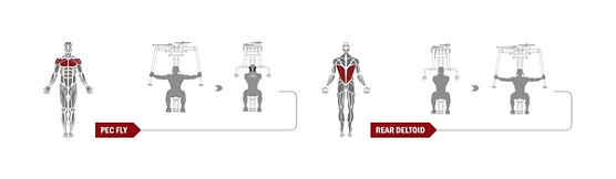 Баттерфляй / задняя дельта Spirit Fitness DWS107-U2 фото4