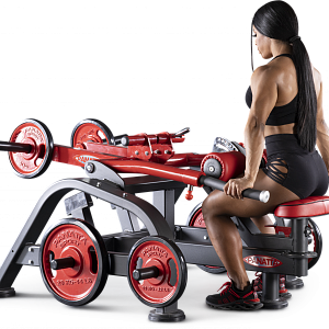 Купить Нагружаемый дисками тренажер Panatta FreeWeight Special 1FW040 в Москве