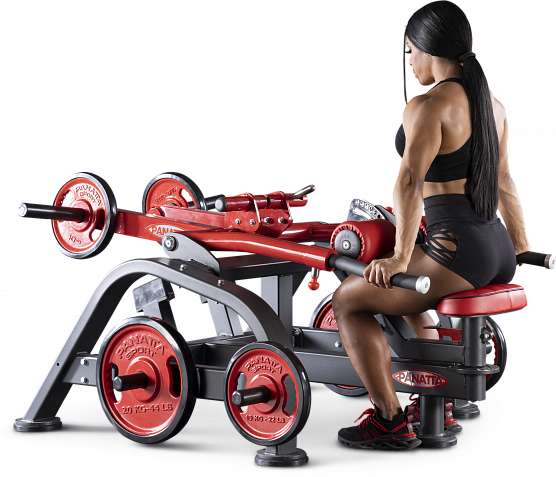 Нагружаемый дисками тренажер Panatta FreeWeight Special 1FW040 фото1