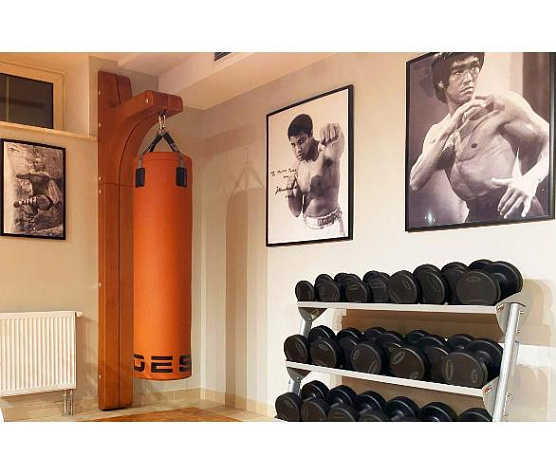 Боксерский мешок Desire Custom Box Eco из экокожи фото1