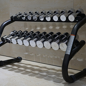 Купить Набор хромированных гантелей Technogym KAK1 в Москве