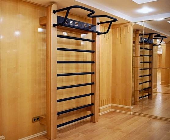 Шведская стенка с удобным турником Desire Eco Base фото3