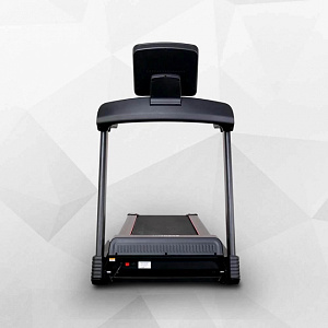 Купить Беговая дорожка Everyfit 75005LT в Москве