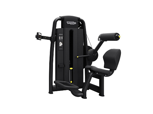 Купить Гиперэкстензия Technogym Selection 900 Lower Back в Москве