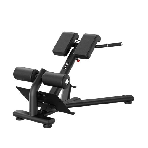 Гиперэкстензия Smith Fitness Excellence RE6010