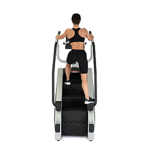Купить Лестница Panatta Climber Fenix Touch в Москве