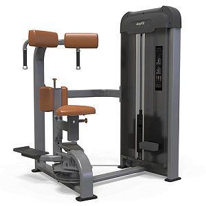 Купить Силовой тренажер Anyfit Торс машина PE303-96 в Москве
