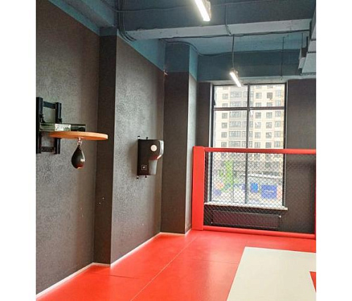 Подушка боксерская Targex Wall Pad Uppercut PRO