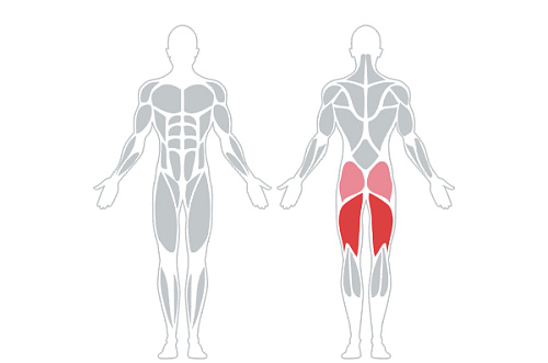 Сгибание ног лежа INTENZA DL-15