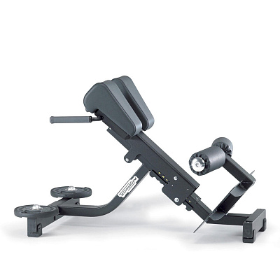 Гиперэкстензия Technogym Pure Strength Lower Back Bench