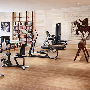 Купить Беговая дорожка Technogym Run Personal в Москве