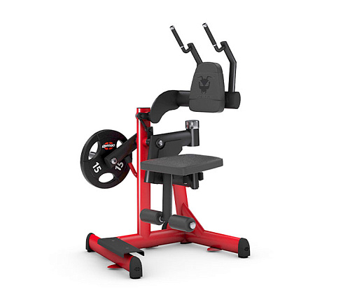 Тренажер для мышц брюшного пресса со скручиванием Gym80 4342 (50мм) Купить Тренажер для мышц брюшного пресса со скручиванием Gym80 4342 (50мм) в Москве