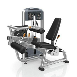 Купить Грузоблочный тренажер на нижнюю часть тела Precor Discovery Line DSL 619 в Москве