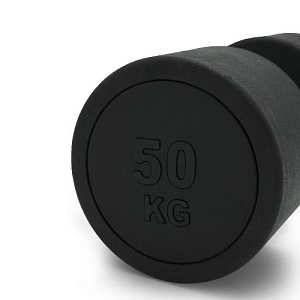 Купить Unix Fit PRO гантель круглая обрезиненная 50 кг / шт. в Москве