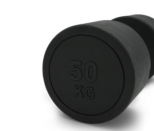 Гантель круглая обрезиненная Unix Fit PRO 50 кг / шт.