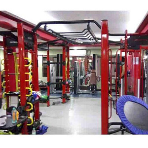 Купить Многофункциональный комплекс Pangolin Fitness SYNERGY 360XL станция для функционального кругового тренинга в Москве