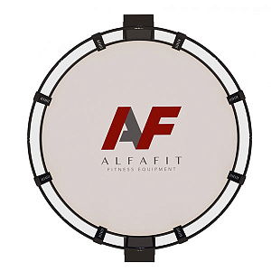Купить AlfaFit MMA Арена тренировочная на помосте высотой 1 м в Москве