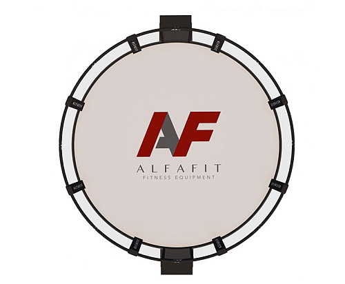 MMA Арена тренировочная AlfaFit на помосте высотой 1 м