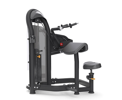 Купить Трицепс-машина Matrix Fitness Aura G3-S45_02 в Москве