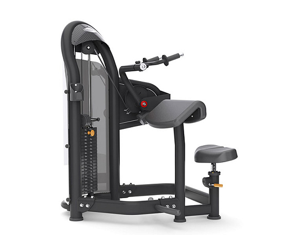 Грузоблочный тренажер Matrix Fitness Aura G3-S45_02 Трицепс-машина