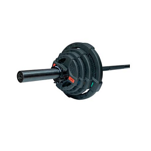 Купить Original FitTools Штанга олимпийская 58 кг (диски с двумя хватами, черный гриф) в Москве