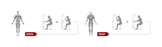 Бицепс-трицепс машина Spirit Fitness DWS117-U2 фото4