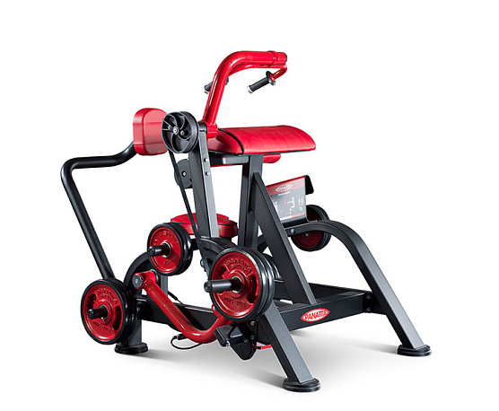 Нагружаемый дисками тренажер Panatta FreeWeight Special 1FW352 Бицепс