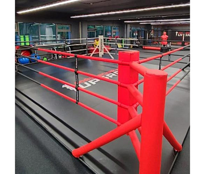 Ринг боксерский в раме Targex 700х700