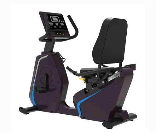 Купить Велотренажер горизонтальный Pangolin Fitness 2020LED в Москве