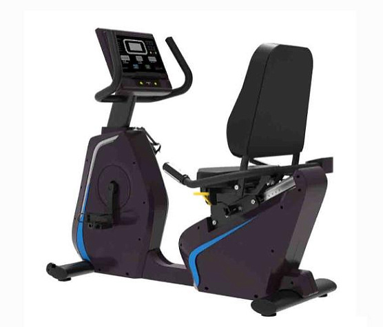 Велотренажер Pangolin Fitness 2020LED горизонтальный 