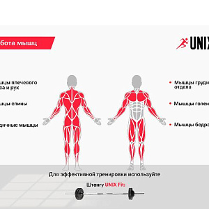 Купить Unix Fit Стойка под штангу FRAME 220 в Москве