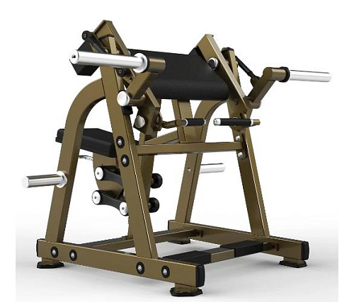 Бицепс сидя Realleader LD-1005 (HSPro-1005) (на свободных весах) Купить Бицепс сидя Realleader LD-1005 (HSPro-1005) (на свободных весах) в Москве