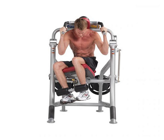 Силовой тренажер Hoist ROC-IT RPL-5601 фото1