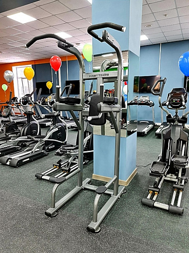 Турник/Брусья/Пресс Hasttings Digger HD008-4