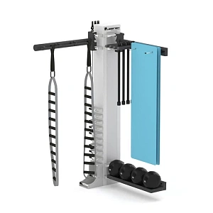 Купить Многофункциональный комплекс Queenax By Precor Комплекс на 2 станции The One Wall Mounted в Москве