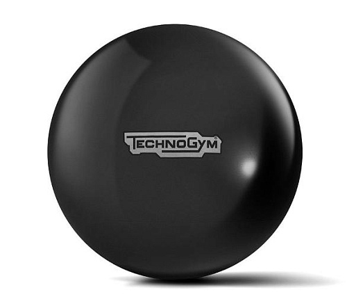 Купить Мяч для фитнеса Technogym Wellness Ball 65 см в Москве