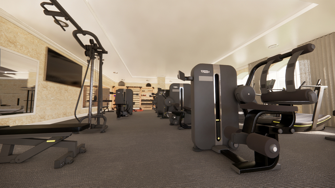 Оснащение тренажёрами спортивного зала на Новой Риге