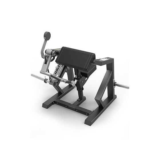 Нагружаемый дисками тренажер Spirit Fitness SP-4513 Бицепс машина