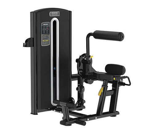 Купить Разгибание спины Bronze Gym M05-009 в Москве