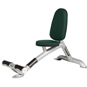 Купить Hoist CF-3960 в Москве