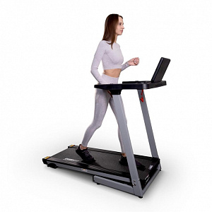 Купить Беговая дорожка Everyfit 74209 в Москве