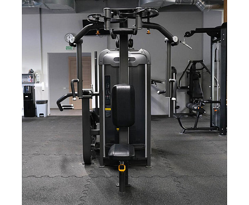 Баттерфляй/Задняя дельта (пек дек) Anyfit PE111-123