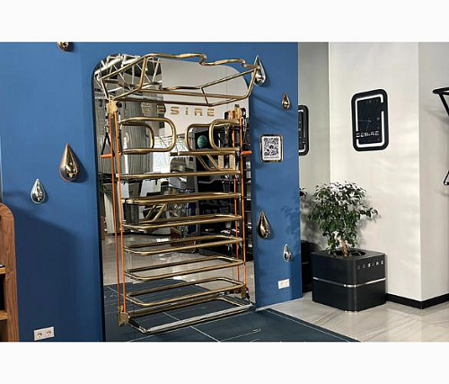 Шведская стенка Desire Prime Vision Gold