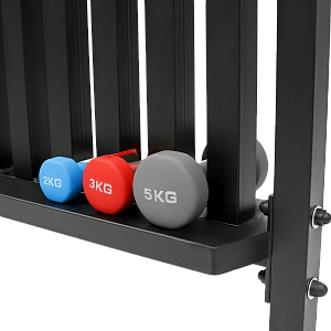 Стойка под гантели для аэробики Bronze Gym PARTNER AL-413 Купить Стойка под гантели для аэробики Bronze Gym PARTNER AL-413 в Москве