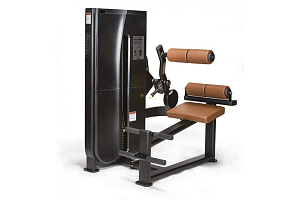 Bronze Gym Разгибание спины Lexco LS-122