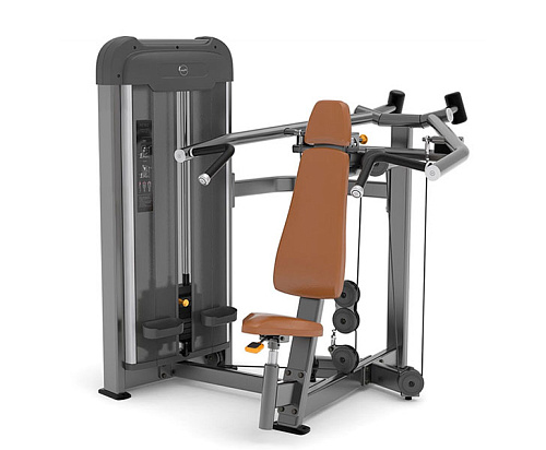 Плечевой жим Anyfit PE102-66 Купить Плечевой жим Anyfit PE102-66 в Москве