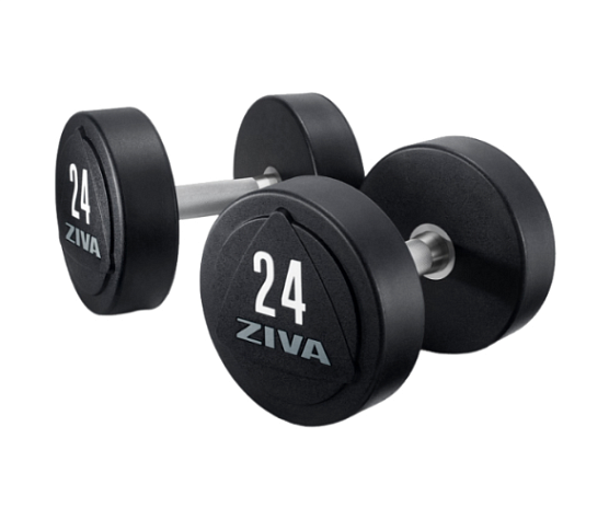 Гантели уретановые Ziva ZVO-DBPU-1641 10 кг (пара)